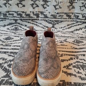 Toms sneakers